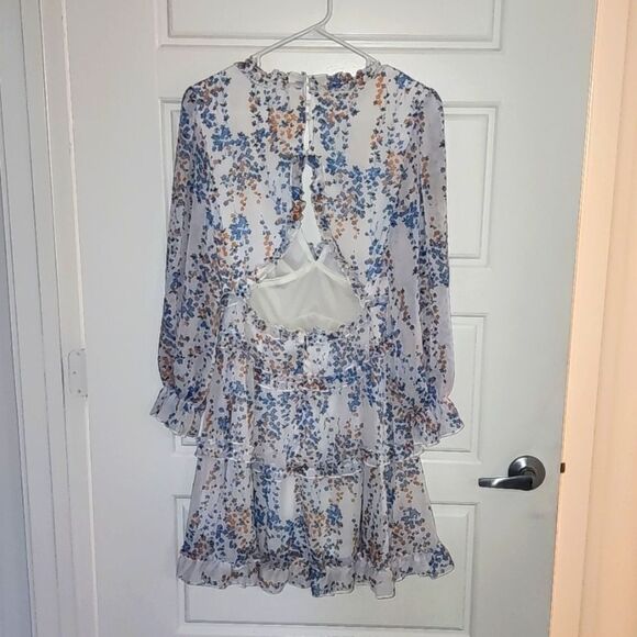 Floral Sheer Ruffle Mini Dress - Picture 4 of 6